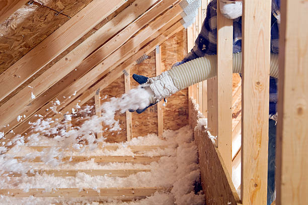 Best Attic Insulation Installation  in Southgate, MI